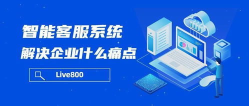 live800 智能客服系統解決企業什么痛點